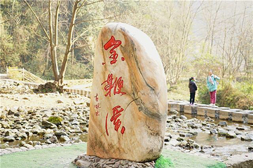 金鞭溪峡谷第 26 张图片