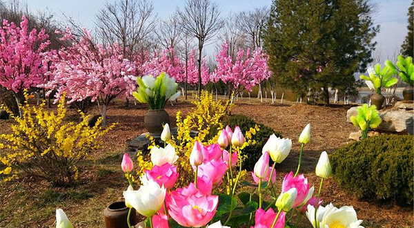 五阳湖生态旅游度假区