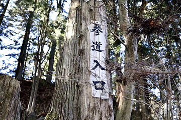 日光东照宫第 40 张图片