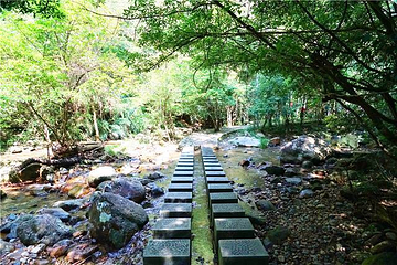 九阜山自然保护区第 9 张图片