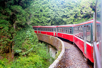 阿里山国家风景区第 44 张图片