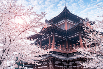 青龙寺第 8 张图片
