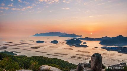北岐滩涂第 1 张图片