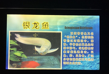 镜湖湿地海洋世界第 24 张图片