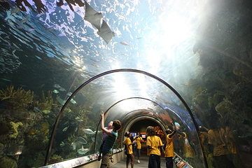 奥杜邦美洲水族馆第 6 张图片