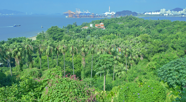 厦门华侨亚热带植物引种园