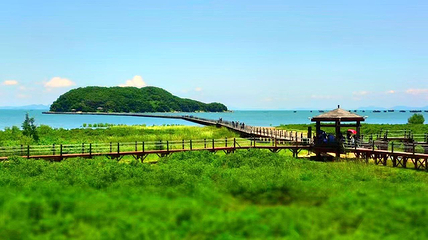 海陵岛第 24 张图片