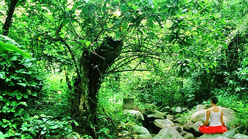 七仙岭君澜温泉