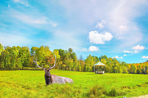 欧米伽野生动物园