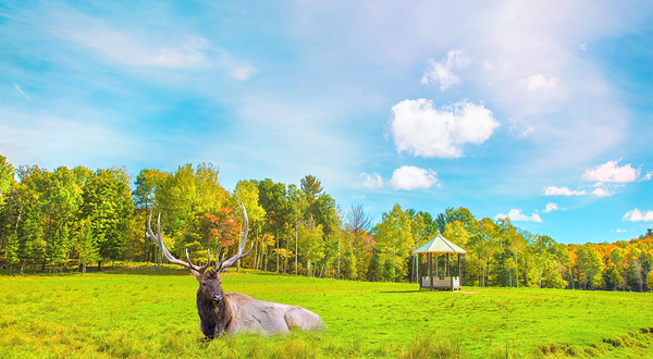 欧米伽野生动物园