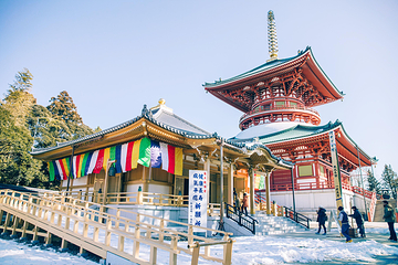 成田山新胜寺第 1 张图片