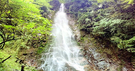 西岭雪山大飞水风景区第 4 张图片