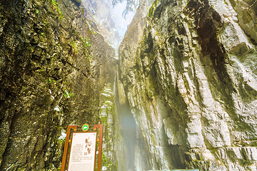 天门山国家森林公园第 261 张图片