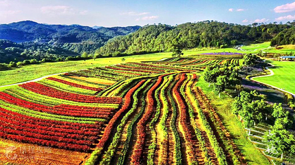 腾冲原乡栖花岭景区第 8 张图片