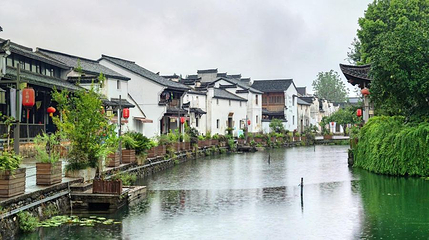 东梓关村第 1 张图片