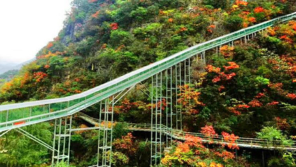 柞水溶洞第 28 张图片
