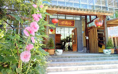舟山万花谷第 1 张图片