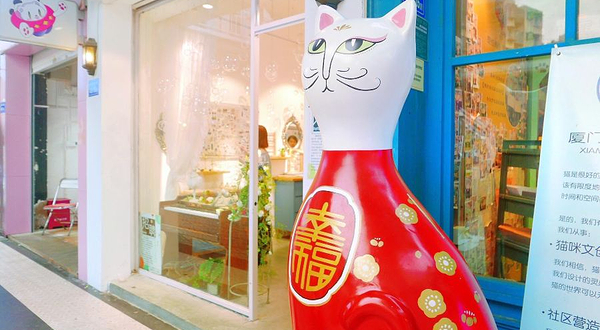 猫咪博物馆(顶澳仔猫街店)
