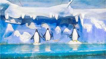 新乡人民公园海洋馆