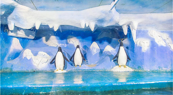 新乡人民公园海洋馆