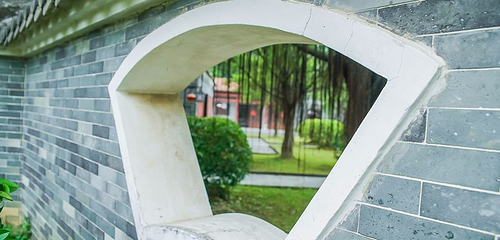李小龙乐园第 19 张图片