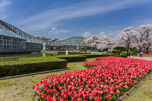 京都府立植物园