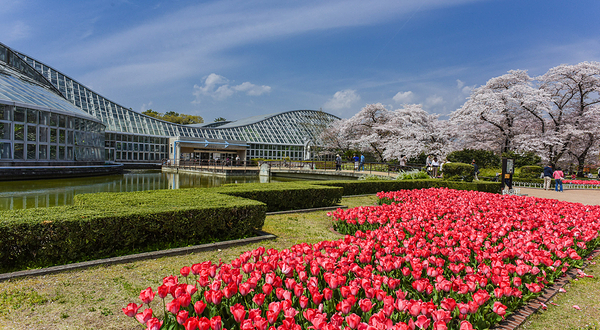 京都府立植物园