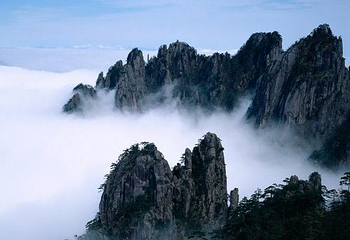 黄山风景区-紫石峰第 1 张图片
