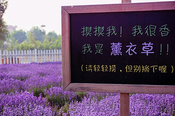 渔岛海洋度假区第 98 张图片