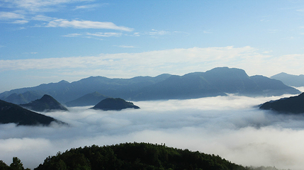 九重花岭景区第 38 张图片