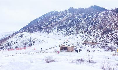 鹧鸪山自然公园滑雪场第 94 张图片