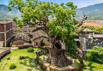 长泰古山重第 1 张图片