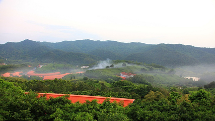 雁南飞茶田景区第 38 张图片