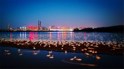 天鹅湖国家城市湿地公园第 2 张图片