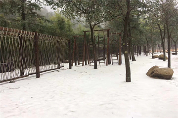 姑婆山第 96 张图片