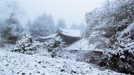 玉舍雪山滑雪场第 5 张图片