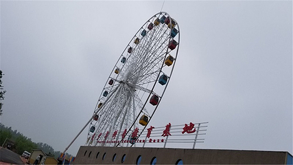 诸城市动物园第 50 张图片