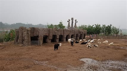 诸城市动物园第 38 张图片