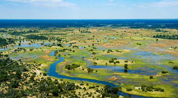 奥卡万戈三角洲
