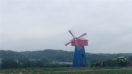 临湘市菊花博览园第 37 张图片