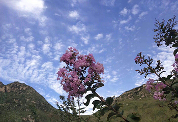 神泉山旅游景区第 5 张图片