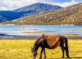 普达措国家公园