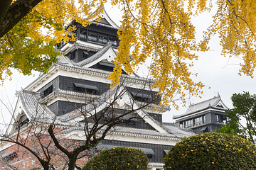 熊本城第 12 张图片