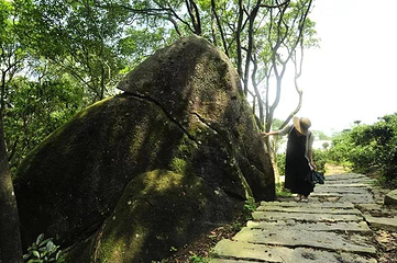 石祖禅茶园第 35 张图片