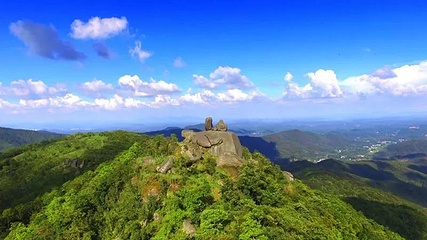 石祖禅茶园第 11 张图片