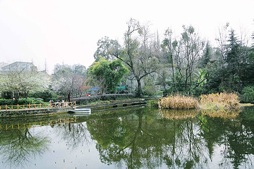 百花潭公园第 14 张图片