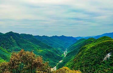 百里竹海景区-观音洞第 21 张图片