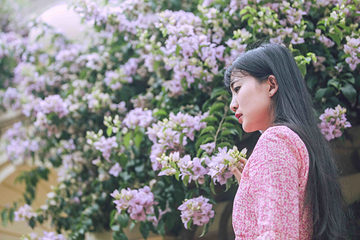 梦幻花园第 6 张图片