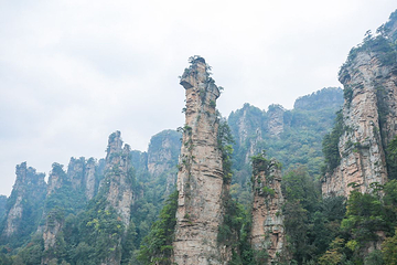 天子山风景区第 40 张图片