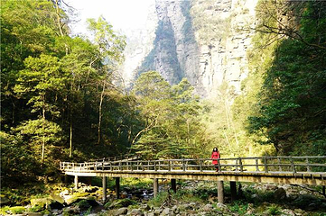 金鞭溪峡谷第 15 张图片